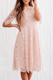 Solid Lace O Neck Cake Skirt Dresses