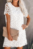 Solid Lace O Neck Straight Dresses