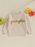 Cozy Autumn Winter Knit Sweater for Toddler Baby Girls - Soft Long Sleeve Crewneck with Letter Embroidery, Warm Pullover Knitwear for Halloween and Daily Wear