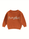 Cozy Autumn Winter Knit Sweater for Toddler Baby Girls - Soft Long Sleeve Crewneck with Letter Embroidery, Warm Pullover Knitwear for Halloween and Daily Wear