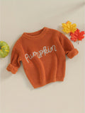 Cozy Autumn Winter Knit Sweater for Toddler Baby Girls - Soft Long Sleeve Crewneck with Letter Embroidery, Warm Pullover Knitwear for Halloween and Daily Wear