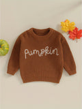 Cozy Autumn Winter Knit Sweater for Toddler Baby Girls - Soft Long Sleeve Crewneck with Letter Embroidery, Warm Pullover Knitwear for Halloween and Daily Wear