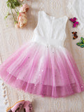 Lovely Galaxy Princess Dress for Little Girls - Elegant Lace Splicing, Sleeveless, Ribbon Detailed, Non-Stretch Polyester Tulle Dress for Summer - Ideal Gift for Birthday or Special Occasions