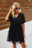 Swiss Dot Short Sleeve Chiffon Dress