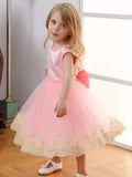 Girl's Lace Lace Embroidered Dress Little Girl's Birthday Party Wedding Flower Girl Dress Festival Dress