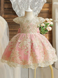 baby girl party dress lace embroidery pageant gown flower girl wedding dresses toddler girl specail occasion dress