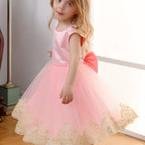 Girl's Lace Lace Embroidered Dress Little Girl's Birthday Party Wedding Flower Girl Dress Festival Dress