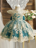 baby girl party dress lace embroidery pageant gown flower girl wedding dresses toddler girl specail occasion dress