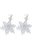 Transparent Snow Earrings