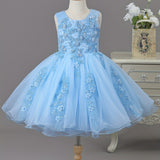 Stunning Sleeveless Girls Elegant Tutu Fit and Flare Dress - Beaded, Sequined, Solid Color, Polyester, Hand Washable, Perfect for Flower Girls, Birthday, and Social Events