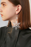 Transparent Snow Earrings