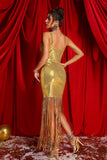 lovefery Euran Tassel Sequin Dress