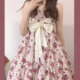 LoveFery Spring Rose Amusement Park Fairycore Princesscore Cottagecore Dress