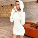 Ginny Long Sleeve Knit Sweater Dress