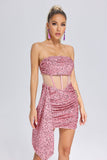 lovefery Janneth Sequin Ruched Mini Dress