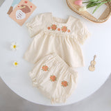 LOVEFERY Foshan Girls' Summer Short-Sleeved New Embroidery Set Embroidered Onesie Summer Newborn Baby Romper Triangle Rompers