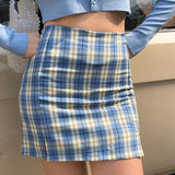 lovefery - Cara Plaid Skirt // Blue