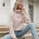 LOVEFERY 2025 women's clothing popular autumn and winter new turtleneck twist sweater knitted sweater thickened thermal pullover top