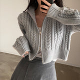 Autumn Winter Women's Clothing Korean INS Long Sleeve Polo Collar Sweater Coat Retro Double Zipper Twists Knitted Cardigan