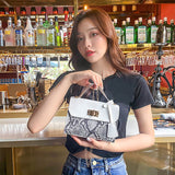 LoveFery - New Messenger Bag for Women Trend Luxury Handbags Camera Female Cosmetic Bag Fashion Chain Lady Crossbody Shoulder Bags