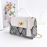 LoveFery - New Messenger Bag for Women Trend Luxury Handbags Camera Female Cosmetic Bag Fashion Chain Lady Crossbody Shoulder Bags