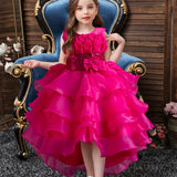 Stunning Fit and Flare Classic Gown Dress for Girls - Elegant Solid Color Polyester Applique Wedding Party Birthday Prom Dress with Non-Stretch Fabric - Perfect for Spring, Summer, and Fall Seasons