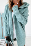 Temperament Commuter Bat-Shaped Hooded Sweater