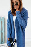 Temperament Commuter Bat-Shaped Hooded Sweater