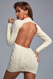 lovefery Iuana Backless Mini Knit Dress