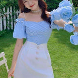 lovefery Blue Rose Fairycore Cottagecore Dress Set