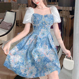 lovefery Garden Painting Classes Fairycore Princesscore Dress