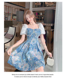 lovefery Garden Painting Classes Fairycore Princesscore Dress