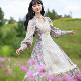 lovefery Dried Wildflowers Fairycore Cottagecore Princesscore Dress