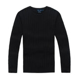 Free delivery of new high-quality polo men's twisted needle sweater knitted cotton round neck sweater pullover men's solid color sweater men's