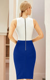 Lovefery Adaline Bandage Dress with Mesh Inserts