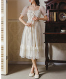 Lovefery Rosemary Embroidered Tulle Fairycore Dress