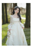 Lovefery Sundew Romantic Princesscore Fairy Dress