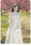 Lovefery Sundew Romantic Princesscore Fairy Dress