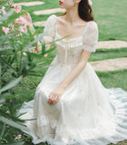 Lovefery Rosemary Embroidered Tulle Fairycore Dress