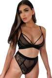 Lovefery Criss Cross Lace Mesh Splicing Bralette Set